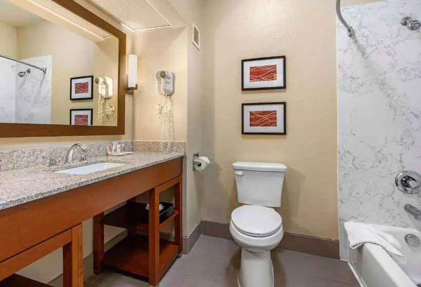 اتاق استاندارد, Comfort Inn & Suites Sacramento   University Area