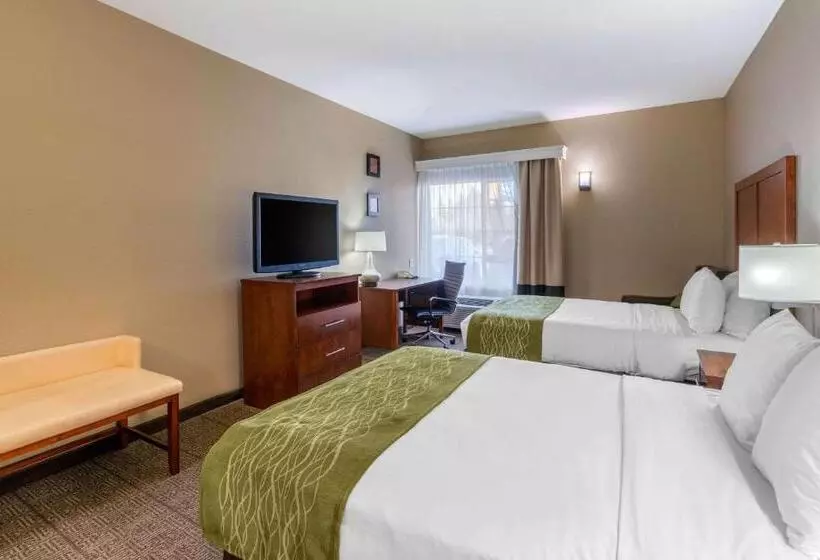 اتاق استاندارد, Comfort Inn & Suites Sacramento   University Area