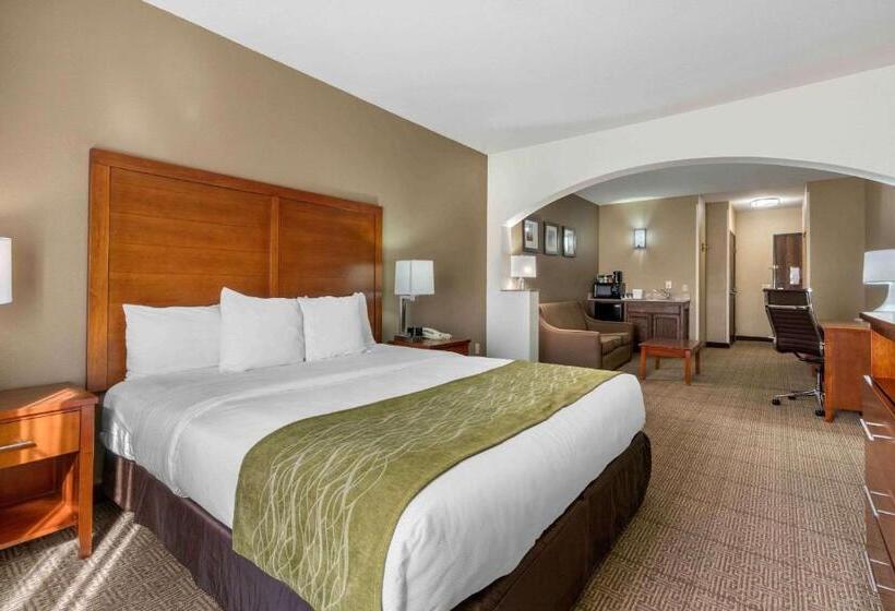 스위트 킹사이즈 침대, Comfort Inn & Suites Sacramento   University Area