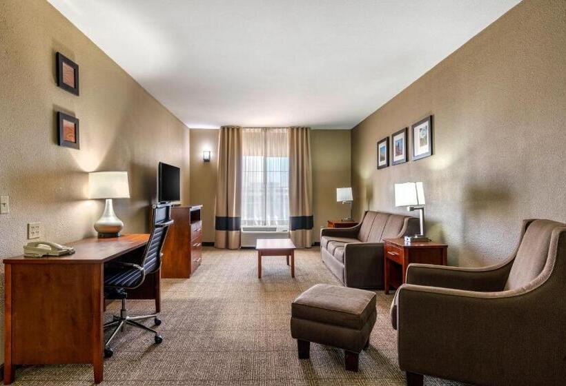 جناح سرير كينج, Comfort Inn & Suites Sacramento   University Area