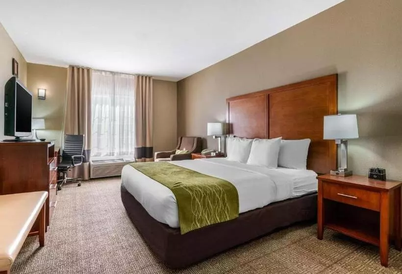 اتاق استاندارد با تخت بزرگ برای معلولان, Comfort Inn & Suites Sacramento   University Area