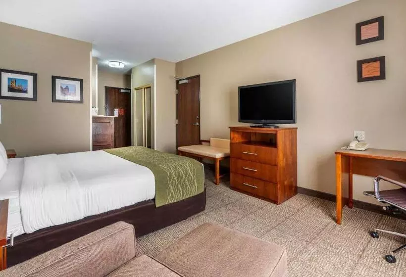 اتاق استاندارد با تخت بزرگ برای معلولان, Comfort Inn & Suites Sacramento   University Area