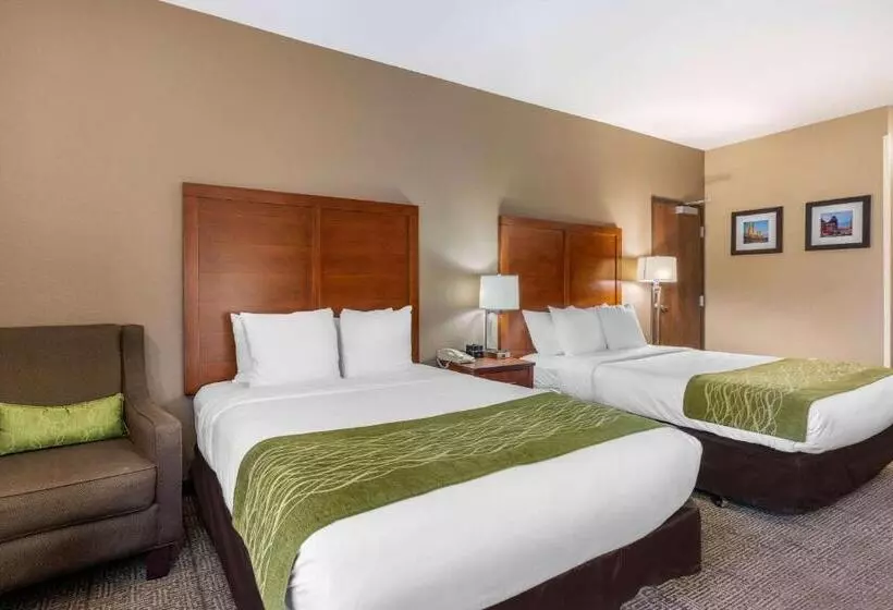 اتاق استاندارد برای معلولان, Comfort Inn & Suites Sacramento   University Area