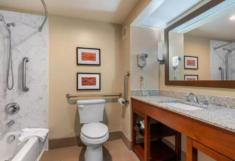 اتاق استاندارد برای معلولان, Comfort Inn & Suites Sacramento   University Area