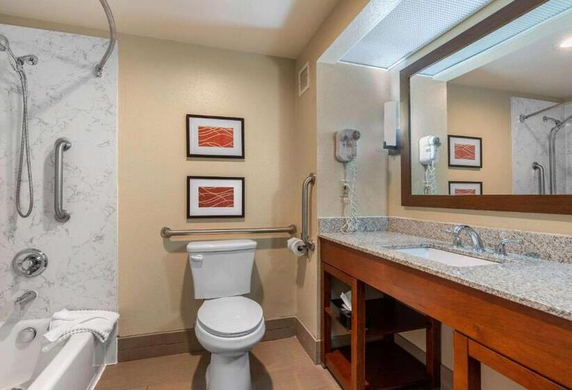 장애인을 위한 스위트, Comfort Inn & Suites Sacramento   University Area