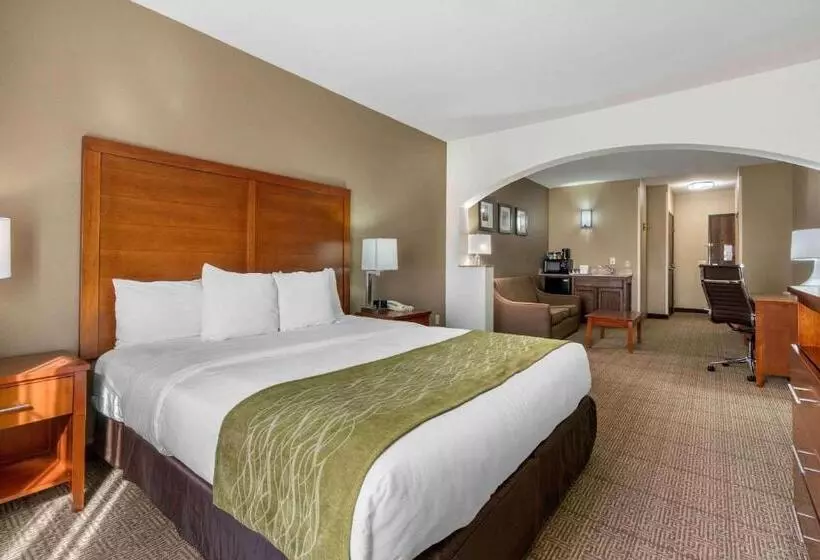 سوئیت برای معلولان, Comfort Inn & Suites Sacramento   University Area