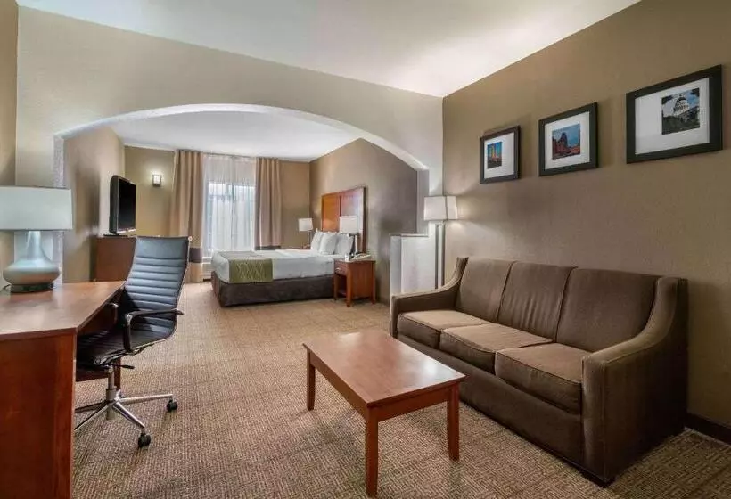 سوئیت برای معلولان, Comfort Inn & Suites Sacramento   University Area