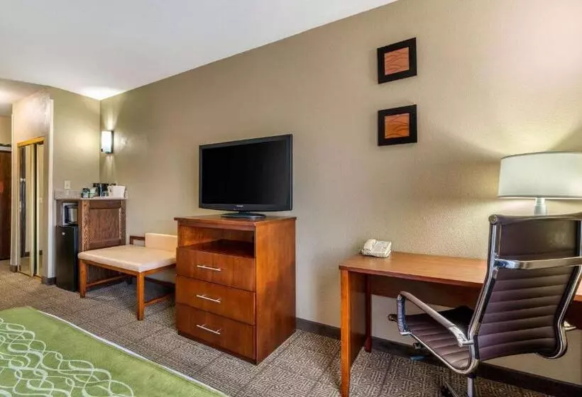 اتاق استاندارد برای معلولان, Comfort Inn & Suites Sacramento   University Area