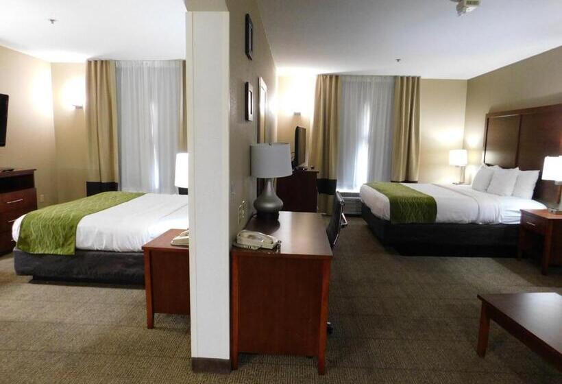 جناح سرير كينج, Comfort Inn & Suites Sacramento   University Area