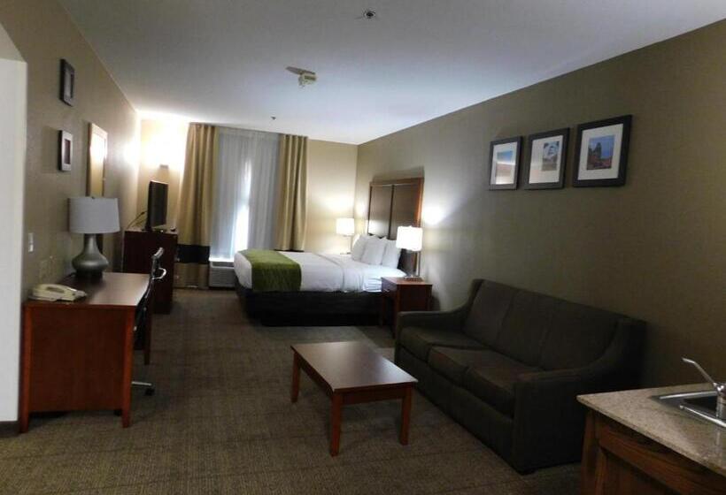 스위트 킹사이즈 침대, Comfort Inn & Suites Sacramento   University Area