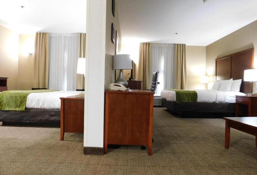 جناح سرير كينج, Comfort Inn & Suites Sacramento   University Area