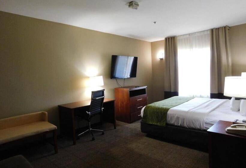 جناح سرير كينج, Comfort Inn & Suites Sacramento   University Area