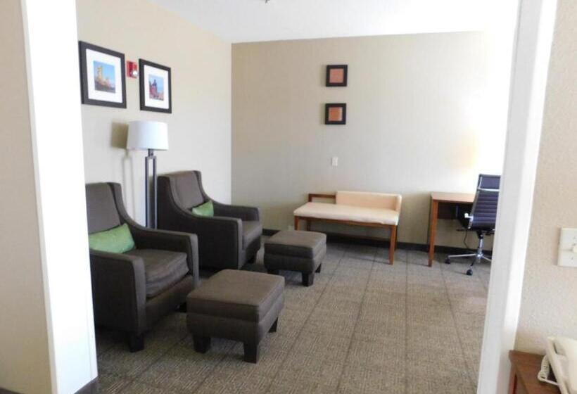 스위트 킹사이즈 침대, Comfort Inn & Suites Sacramento   University Area