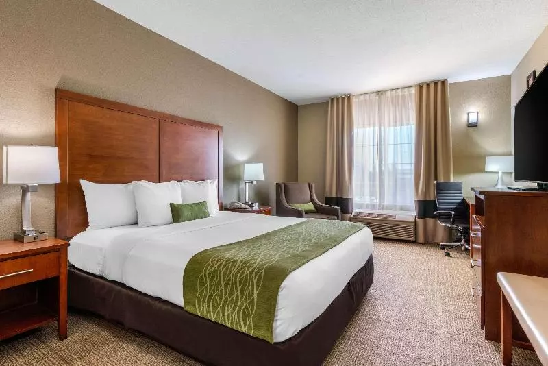 سوئیت با تخت بزرگ, Comfort Inn & Suites Sacramento   University Area
