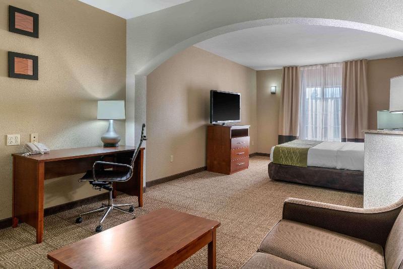 جناح سرير كينج, Comfort Inn & Suites Sacramento   University Area