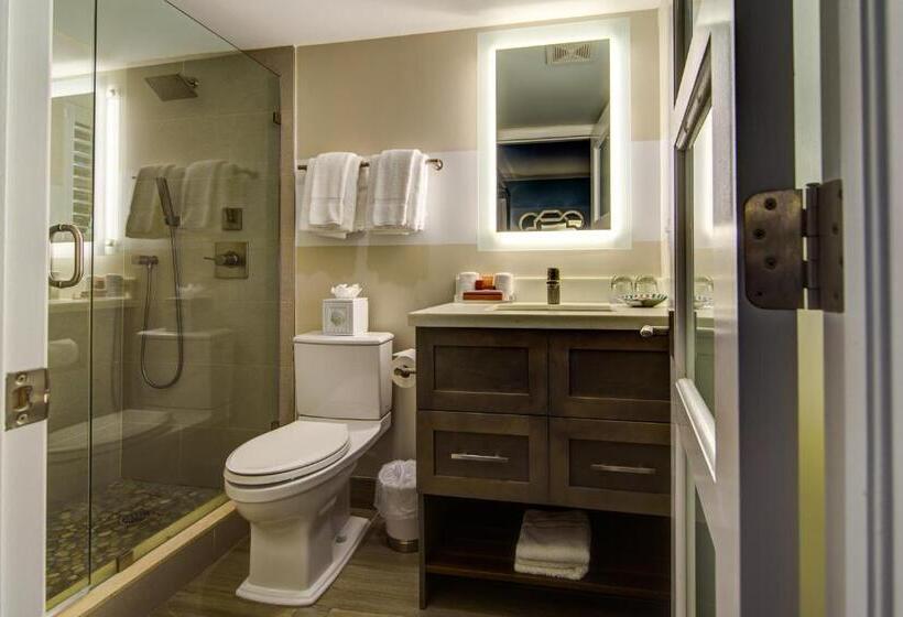 带1个卧室的别墅, Crane S Beach House Boutique Hotel & Luxury Villas