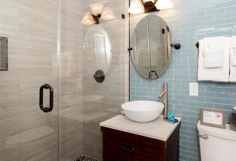 豪华套房, Crane S Beach House Boutique Hotel & Luxury Villas