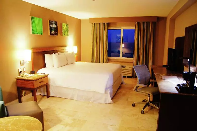 اتاق استاندارد با تخت بزرگ, Hilton Garden Inn Boca Del Rio Veracruz