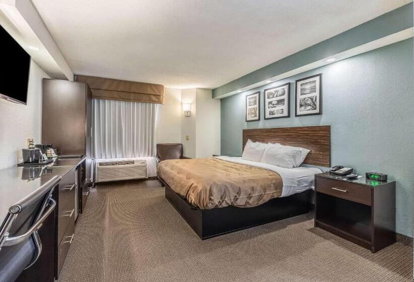 חדר סטנדרט עם מיטת קינג, Quality Inn Memphis Northeast Near I40
