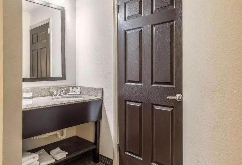 キングサイズベッドのスタンダードルーム, Quality Inn Memphis Northeast Near I40