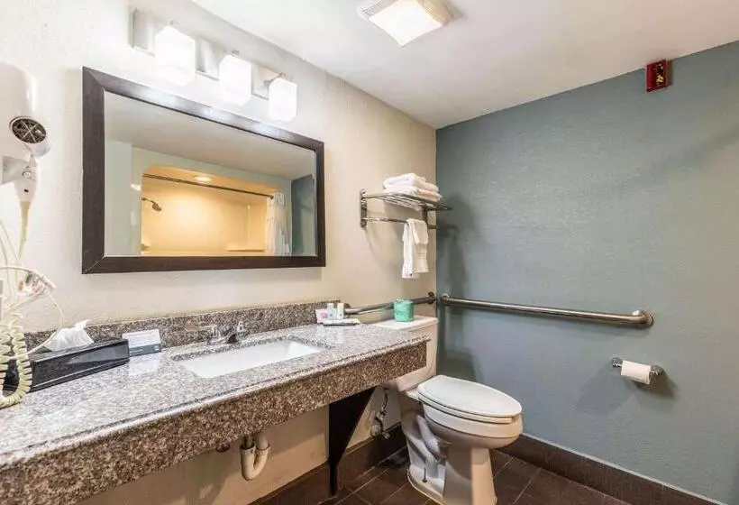 身障者適用スタンダードルーム, Quality Inn Memphis Northeast Near I40