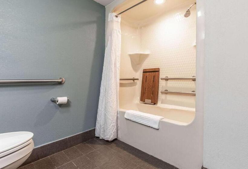 חדר סטנדרט מותאם לאדם עם מוגבלויות, Quality Inn Memphis Northeast Near I40