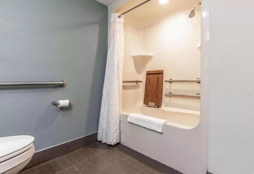 身障者適用スタンダードルーム, Quality Inn Memphis Northeast Near I40