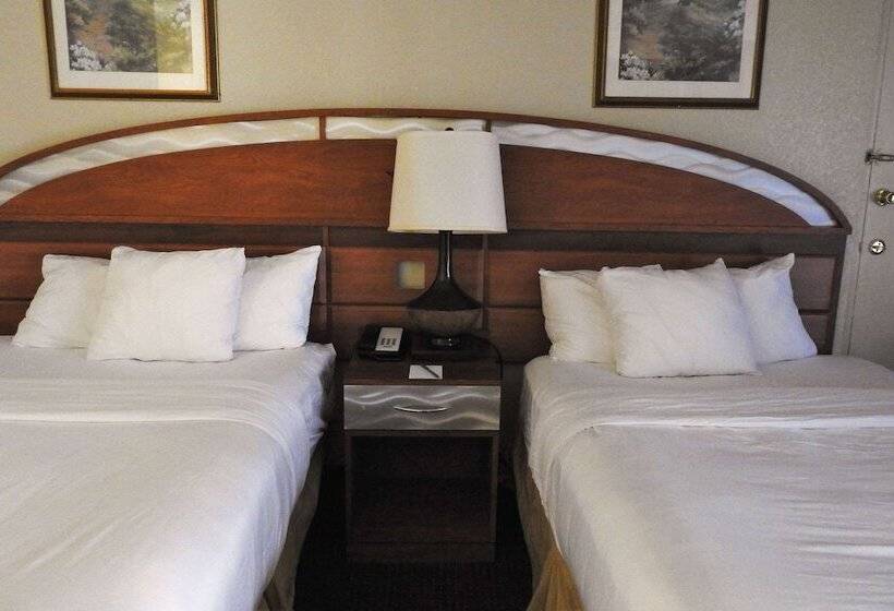 Standard Room 2 Double Beds