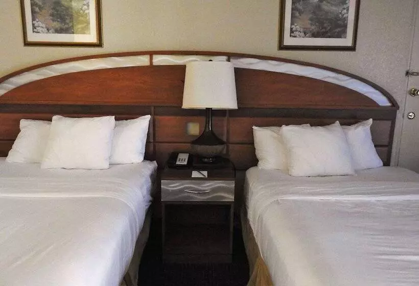 Standard Room 2 Double Beds