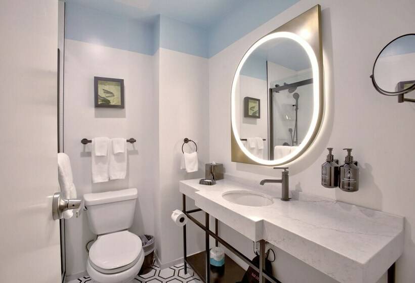 اتاق پرمیوم, Indigo New Orleans French Quarter By Ihg