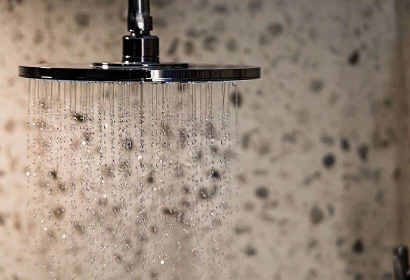 高级大房间, Royal William, Ascend Hotel Collection