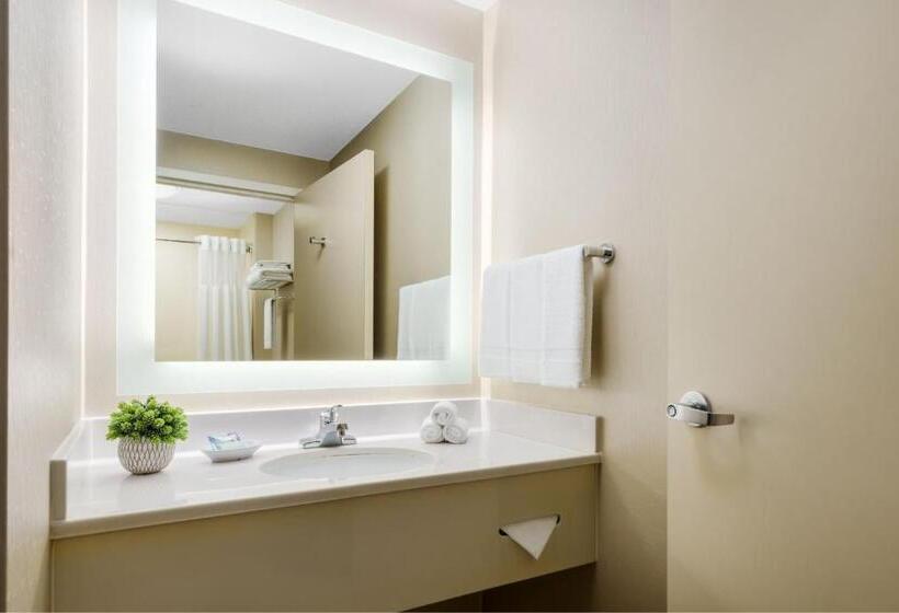 带2个双人床的标准工作室, Springhill Suites Manchesterboston Regional Airport