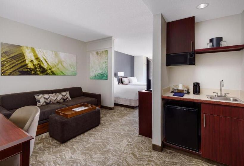 带2个双人床的标准工作室, Springhill Suites Manchesterboston Regional Airport