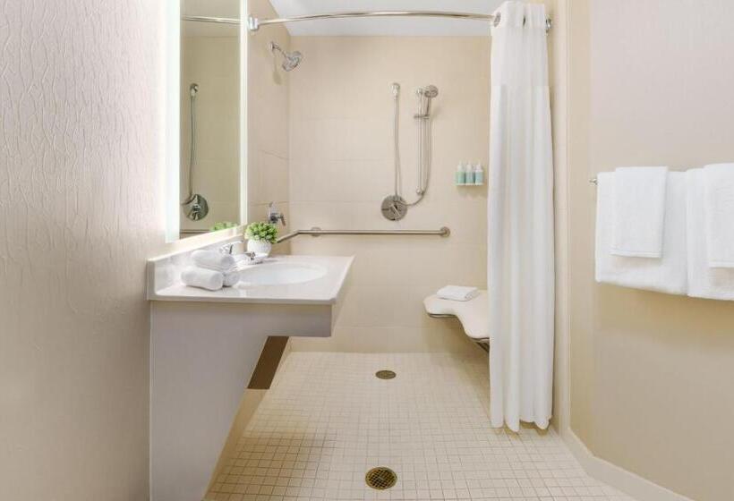 سوئیت با تخت بزرگ, Springhill Suites Manchesterboston Regional Airport