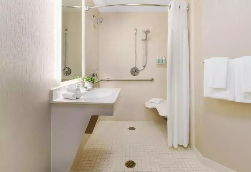 سوئیت با تخت بزرگ, Springhill Suites Manchesterboston Regional Airport