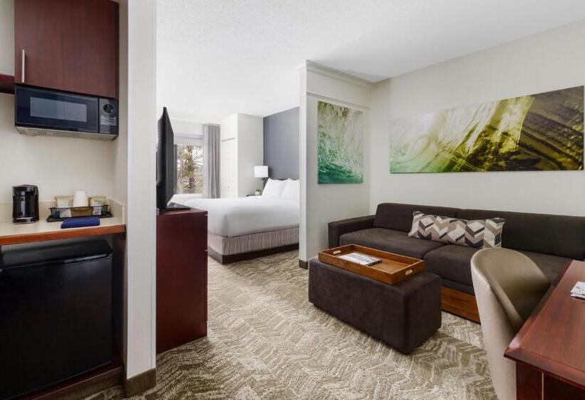 سوئیت با تخت بزرگ, Springhill Suites Manchesterboston Regional Airport