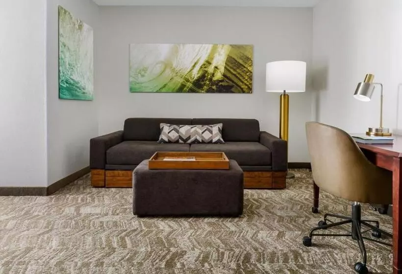 سوئیت اجرایی با تخت کینگ, Springhill Suites Manchesterboston Regional Airport