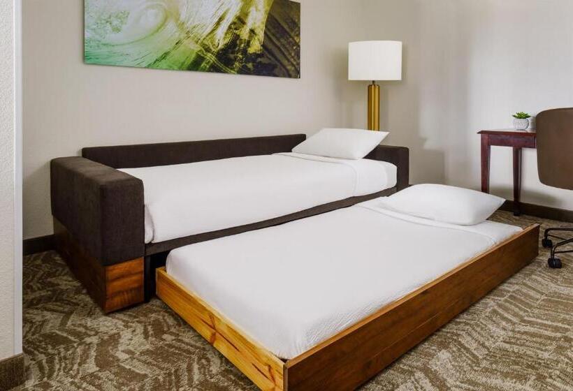 带双人大床的行政管理套房, Springhill Suites Manchesterboston Regional Airport