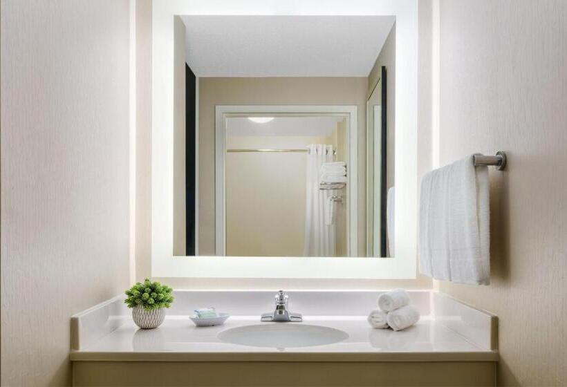 行政套房, Springhill Suites Manchesterboston Regional Airport