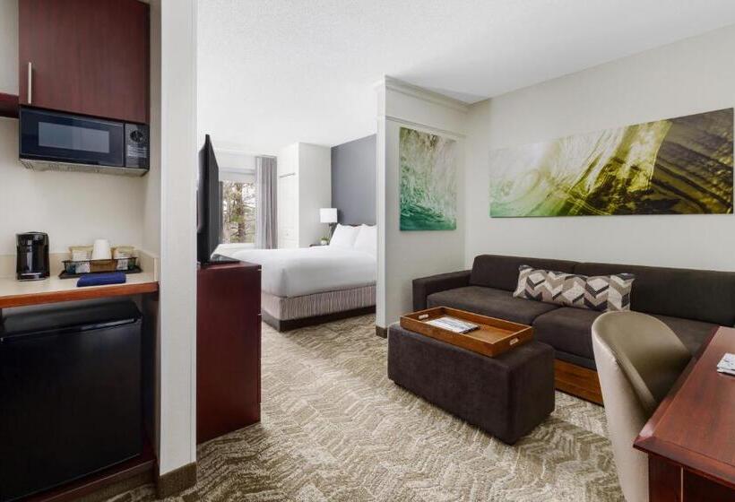 行政套房, Springhill Suites Manchesterboston Regional Airport