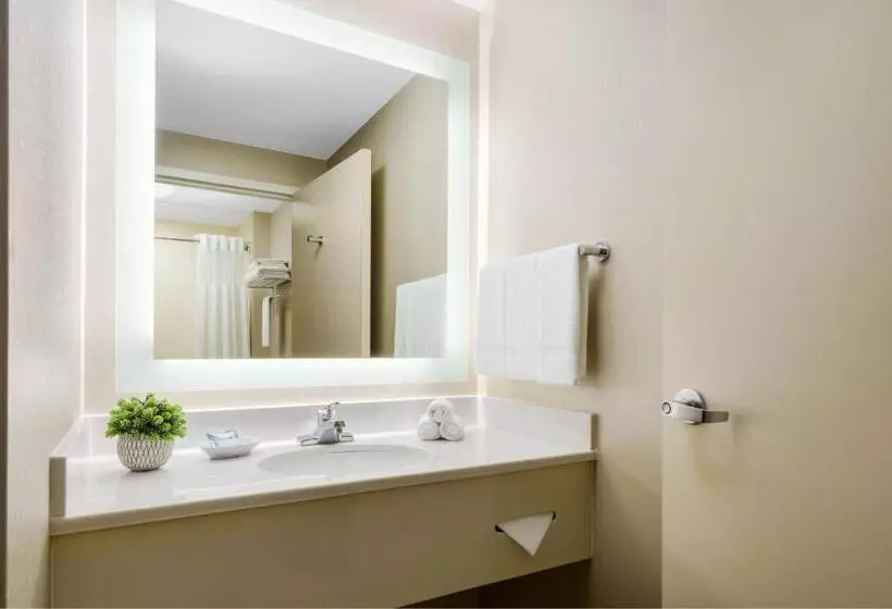 سوئیت برای معلولان, Springhill Suites Manchesterboston Regional Airport