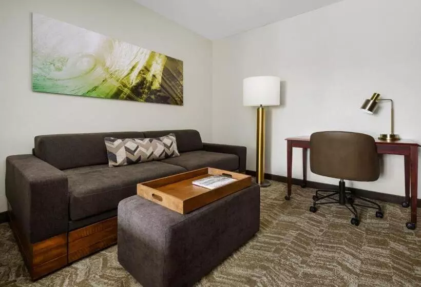 سوئیت برای معلولان, Springhill Suites Manchesterboston Regional Airport