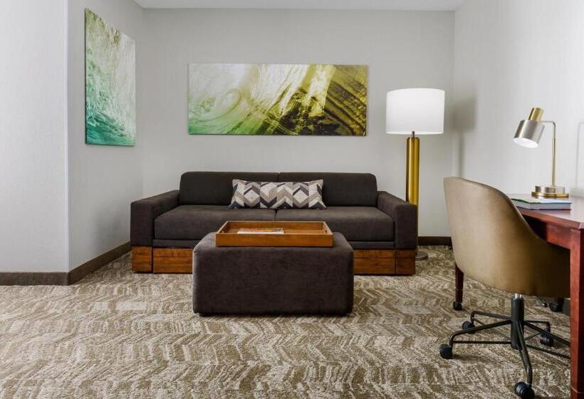带2个双人床的标准工作室, Springhill Suites Manchesterboston Regional Airport