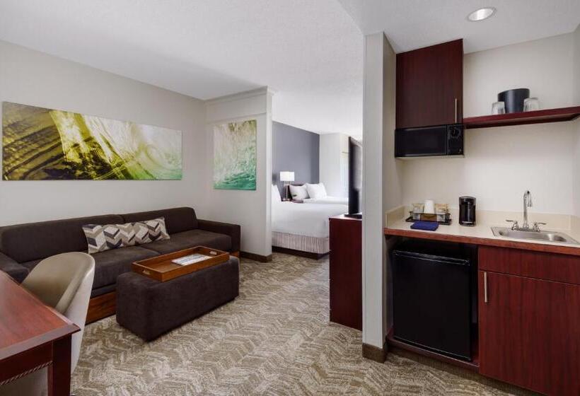 带2个双人床的标准工作室, Springhill Suites Manchesterboston Regional Airport