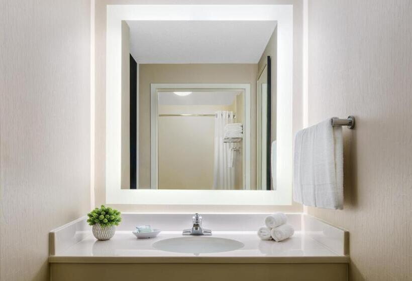 带大床的套房, Springhill Suites Manchesterboston Regional Airport