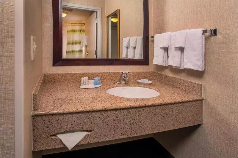 استودیو استاندارد با تخت کینگ, Springhill Suites By Marriott State College