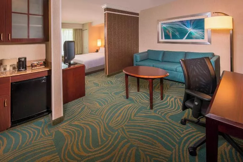 استودیو استاندارد با تخت کینگ, Springhill Suites By Marriott State College