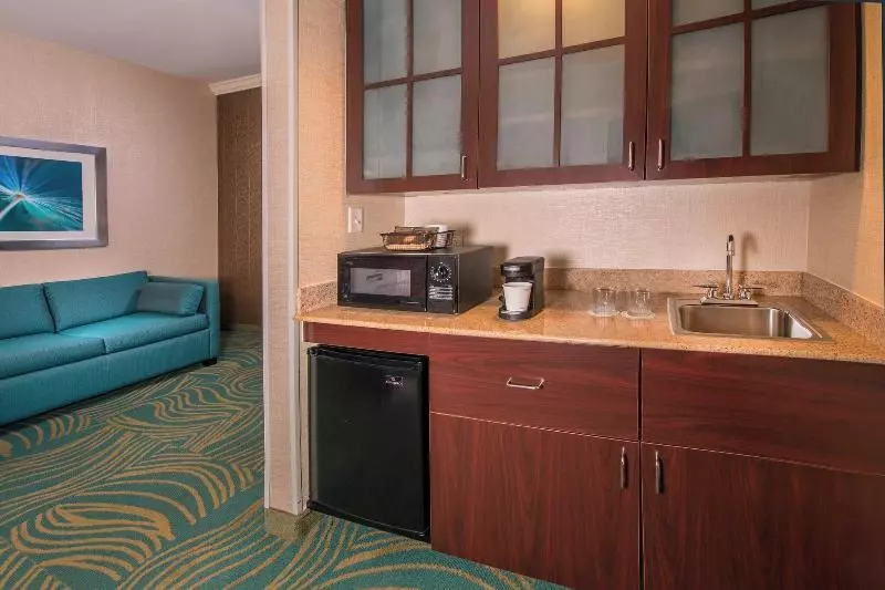 استودیو استاندارد با تخت کینگ, Springhill Suites By Marriott State College