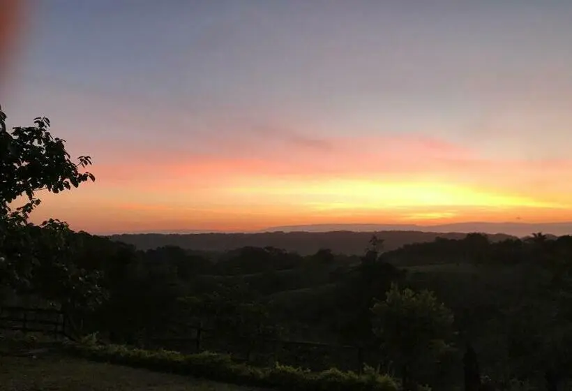 キングサイズベッドのスタンダードルーム, Finca Hotel Doradal