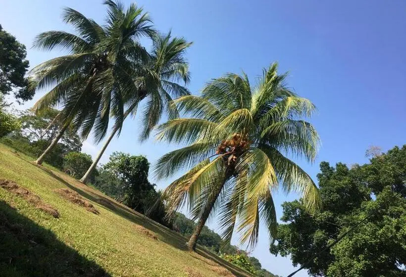 デラックスルーム, Finca Hotel Doradal